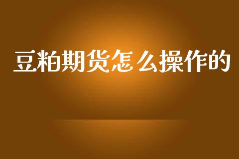 豆粕期货怎么操作的_https://wap.ycdhulan.com_投资基金_第1张