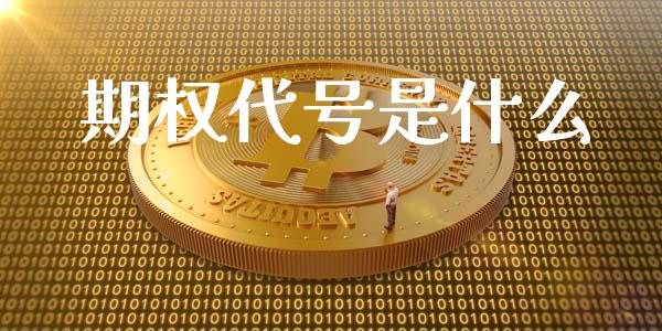 期权代号是什么_财务投资_第1张_国际财经_财经新闻_财务投资_金融咨询_货币市场_投资基金 期权代号是什么_https://wap.ycdhulan.com_财务投资_第1张