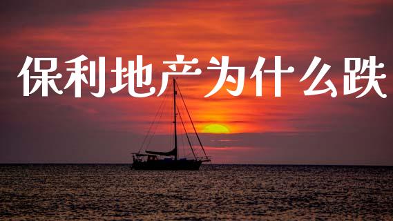 保利地产为什么跌_https://wap.ycdhulan.com_国际财经_第1张
