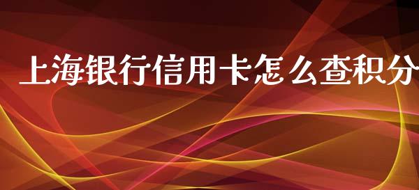 上海银行信用卡怎么查积分_https://wap.ycdhulan.com_财经新闻_第1张