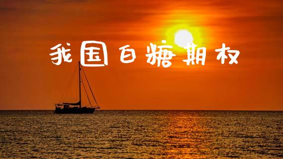 我国白糖期权_https://wap.ycdhulan.com_货币市场_第1张