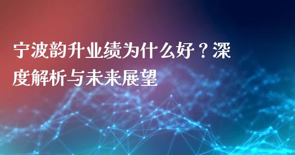 宁波韵升业绩为什么好？深度解析与未来展望_https://wap.ycdhulan.com_财务投资_第1张