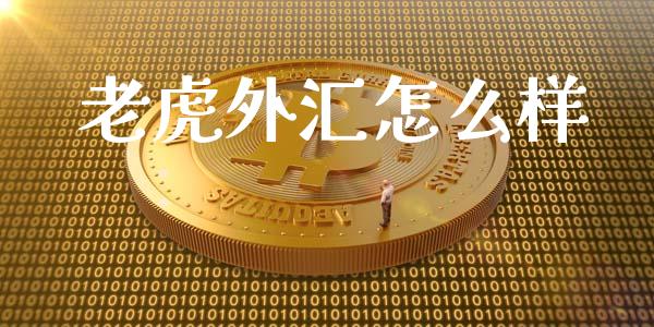 老虎外汇怎么样_https://wap.ycdhulan.com_货币市场_第1张