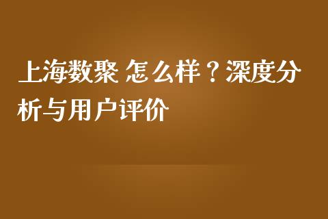 上海数聚 怎么样？深度分析与用户评价_https://wap.ycdhulan.com_金融咨询_第1张