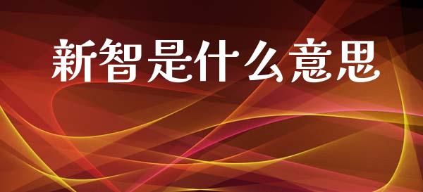 新智是什么意思_https://wap.ycdhulan.com_投资基金_第1张