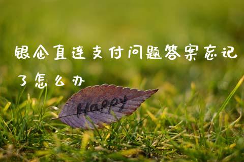 银企直连支付问题答案忘记了怎么办_https://wap.ycdhulan.com_财经新闻_第1张