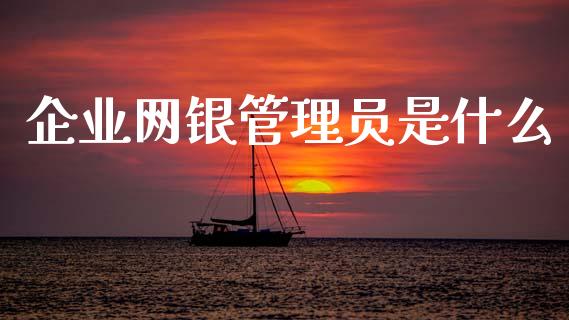 企业网银管理员是什么_https://wap.ycdhulan.com_财务投资_第1张