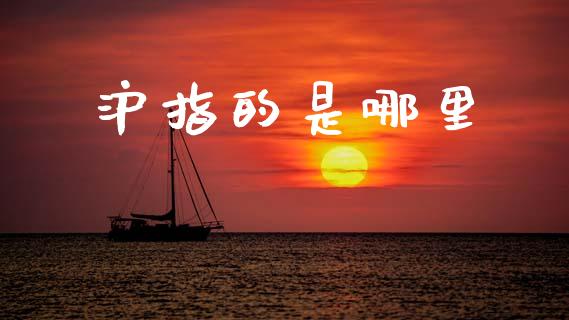 沪指的是哪里_https://wap.ycdhulan.com_国际财经_第1张