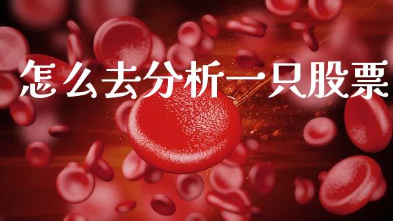 怎么去分析一只股票_https://wap.ycdhulan.com_投资基金_第1张