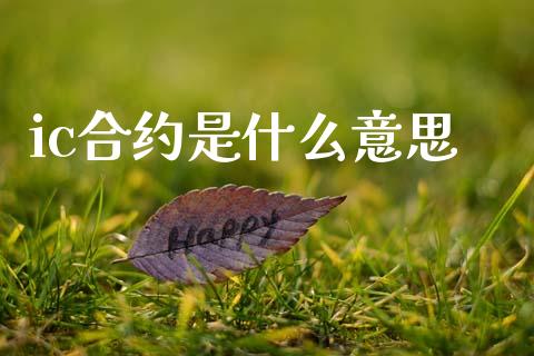 ic合约是什么意思_https://wap.ycdhulan.com_金融咨询_第1张