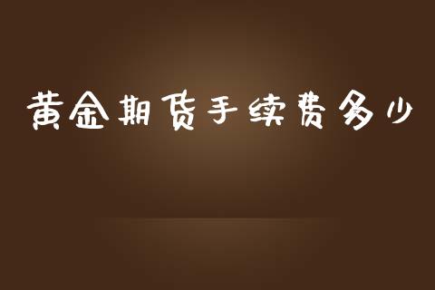 黄金期货手续费多少_https://wap.ycdhulan.com_国际财经_第1张