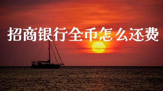 招商银行全币怎么还费_https://wap.ycdhulan.com_投资基金_第1张