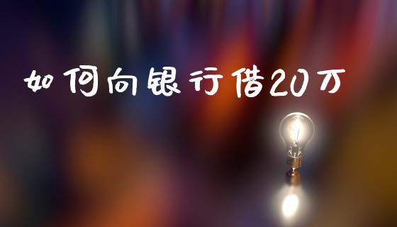 如何向银行借20万_https://wap.ycdhulan.com_财务投资_第1张