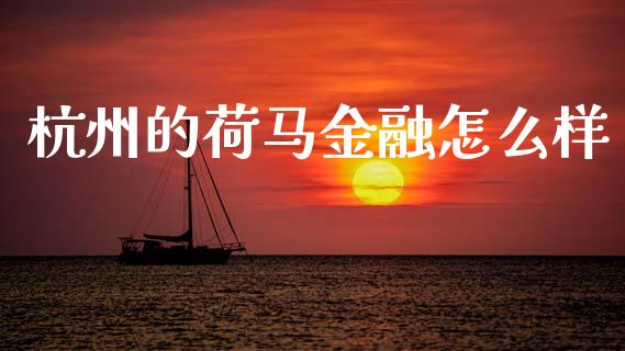 杭州的荷马金融怎么样_https://wap.ycdhulan.com_金融咨询_第1张