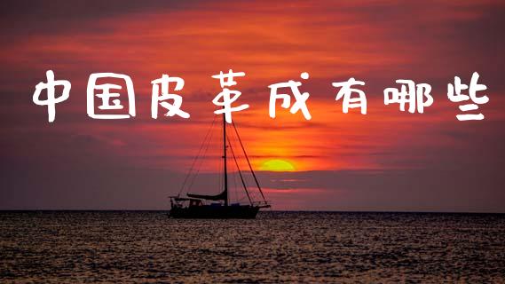 中国皮革成有哪些_https://wap.ycdhulan.com_国际财经_第1张