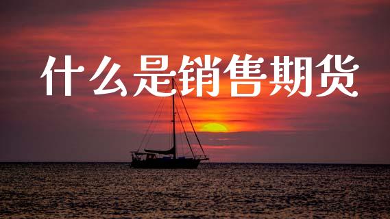 什么是销售期货_https://wap.ycdhulan.com_货币市场_第1张
