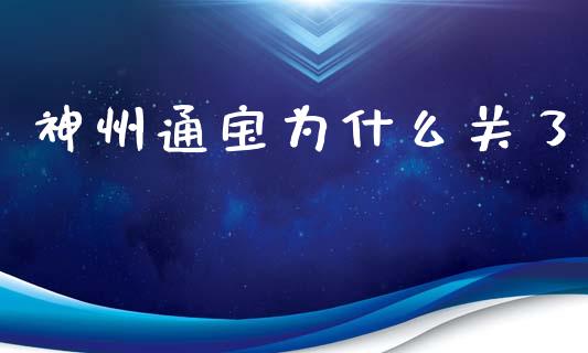 神州通宝为什么关了_https://wap.ycdhulan.com_金融咨询_第1张