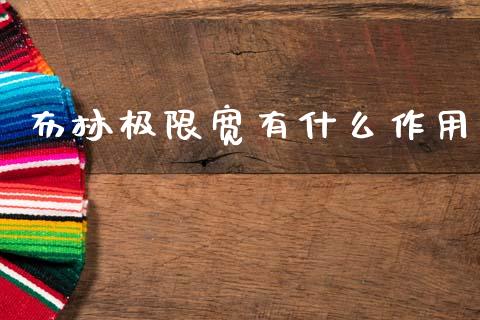 布林极限宽有什么作用_https://wap.ycdhulan.com_投资基金_第1张