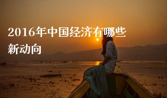 2016年中国经济有哪些新动向_https://wap.ycdhulan.com_国际财经_第1张