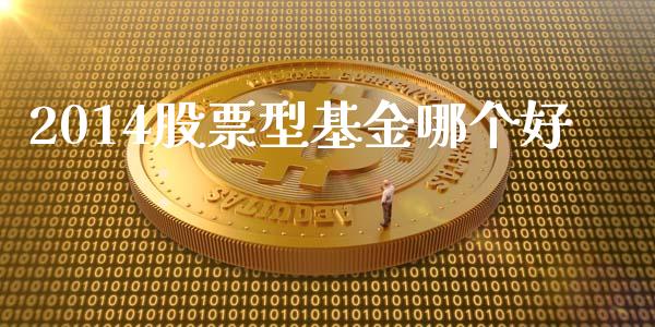 2014股票型基金哪个好_https://wap.ycdhulan.com_投资基金_第1张