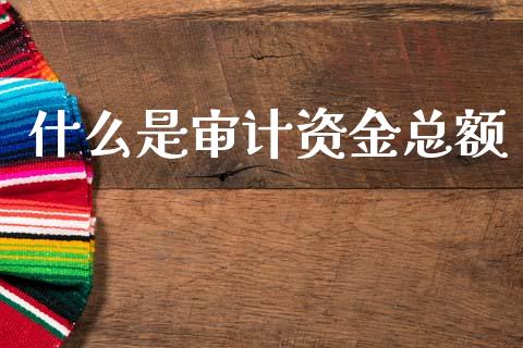 什么是审计资金总额_https://wap.ycdhulan.com_财经新闻_第1张