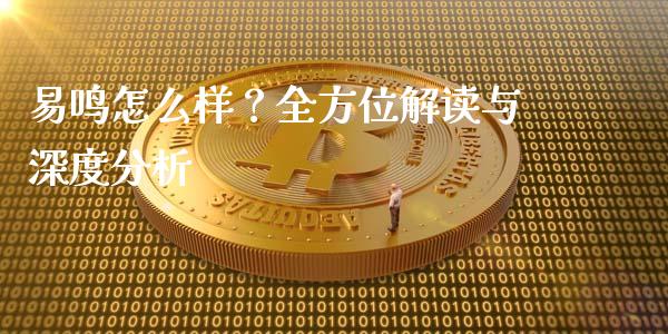 易鸣怎么样？全方位解读与深度分析_https://wap.ycdhulan.com_国际财经_第1张