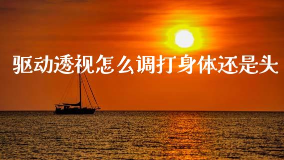 驱动透视怎么调打身体还是头_https://wap.ycdhulan.com_财务投资_第1张