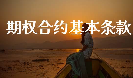 期权合约基本条款_https://wap.ycdhulan.com_国际财经_第1张