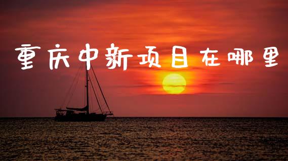 重庆中新项目在哪里_https://wap.ycdhulan.com_投资基金_第1张
