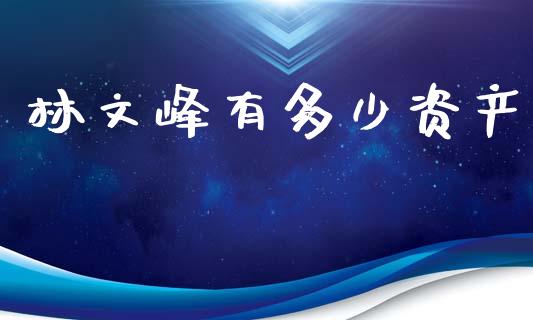 林文峰有多少资产_https://wap.ycdhulan.com_国际财经_第1张