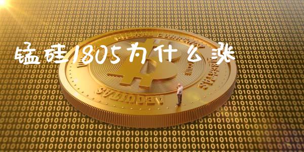 锰硅1805为什么涨_https://wap.ycdhulan.com_货币市场_第1张