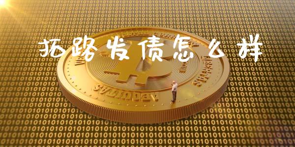 拓路发债怎么样_https://wap.ycdhulan.com_财务投资_第1张
