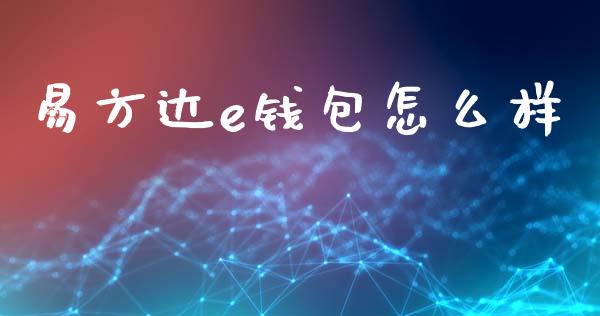 易方达e钱包怎么样_https://wap.ycdhulan.com_国际财经_第1张