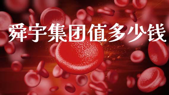 舜宇集团值多少钱_https://wap.ycdhulan.com_财经新闻_第1张