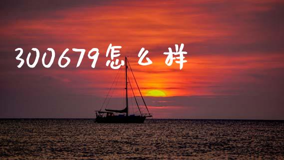 300679怎么样_https://wap.ycdhulan.com_金融咨询_第1张