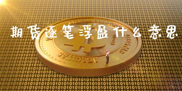 期货逐笔浮盈什么意思_https://wap.ycdhulan.com_金融咨询_第1张