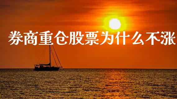 券商重仓股票为什么不涨_https://wap.ycdhulan.com_财经新闻_第1张