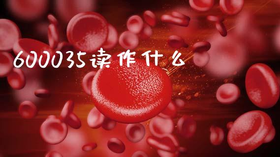 600035读作什么_https://wap.ycdhulan.com_财务投资_第1张