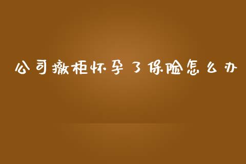 公司撤柜怀孕了保险怎么办_https://wap.ycdhulan.com_财经新闻_第1张