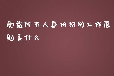 受益所有人身份识别工作原则是什么_https://wap.ycdhulan.com_财经新闻_第1张