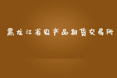 黑龙江省农产品期货交易所_https://wap.ycdhulan.com_货币市场_第1张