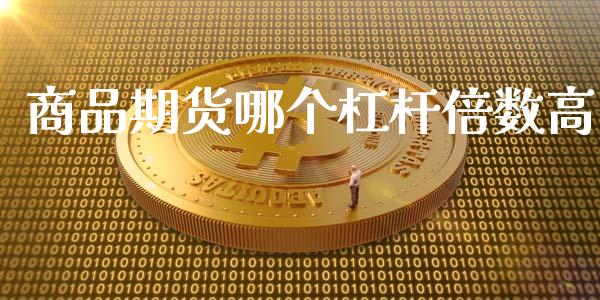 商品期货哪个杠杆倍数高_https://wap.ycdhulan.com_金融咨询_第1张