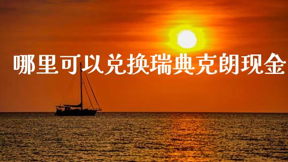 哪里可以兑换瑞典克朗现金_https://wap.ycdhulan.com_财务投资_第1张