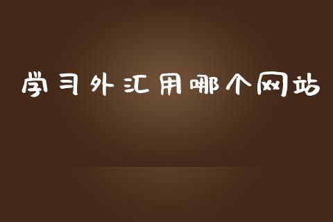 学习外汇用哪个网站_https://wap.ycdhulan.com_国际财经_第1张