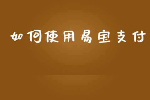 如何使用易宝支付_https://wap.ycdhulan.com_投资基金_第1张