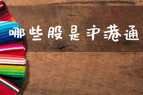 哪些股是沪港通_https://wap.ycdhulan.com_投资基金_第1张