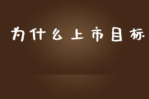 为什么上市目标_https://wap.ycdhulan.com_国际财经_第1张