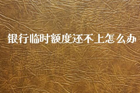 银行临时额度还不上怎么办_https://wap.ycdhulan.com_财务投资_第1张