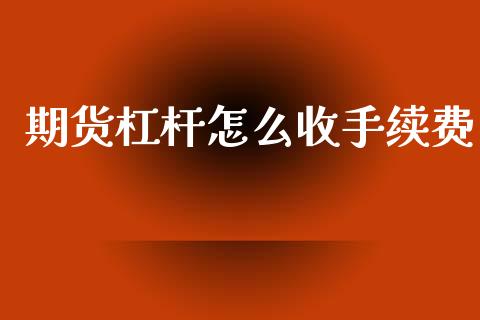 期货杠杆怎么收手续费_https://wap.ycdhulan.com_财经新闻_第1张