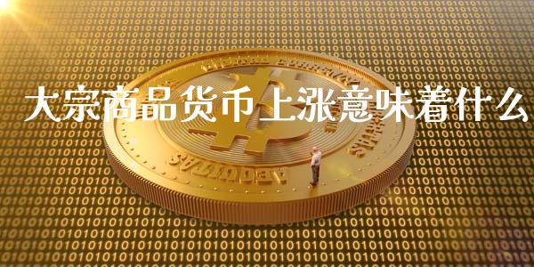 大宗商品货币上涨意味着什么_https://wap.ycdhulan.com_国际财经_第1张